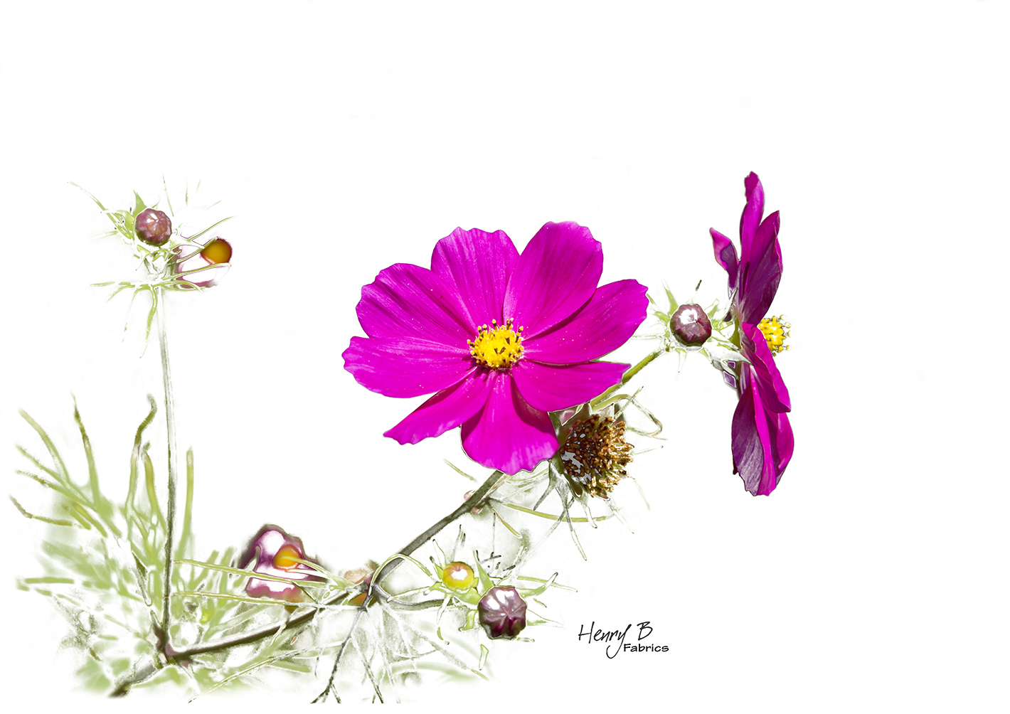 cosmos-flower-placemat-6